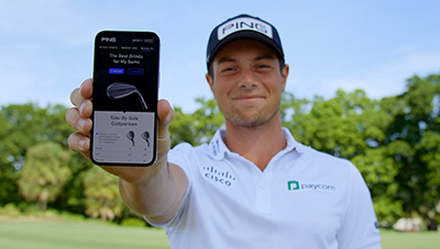 ping2024-wedges159-03