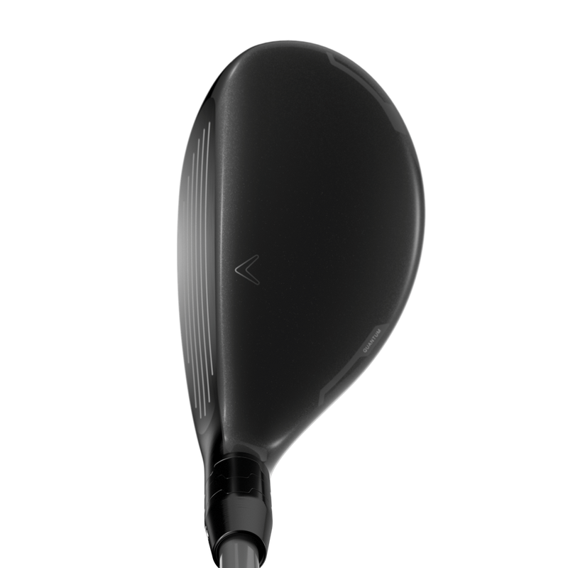 hybrids-2026-quantum-max___4