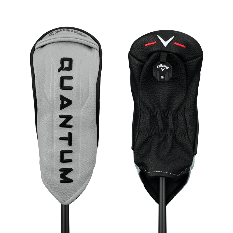 _hybrids-2026-quantum